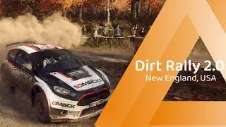 Dirt Rally 2.0 / USA / R5 Fiesta / POV & Bonnet Cam / No HUD