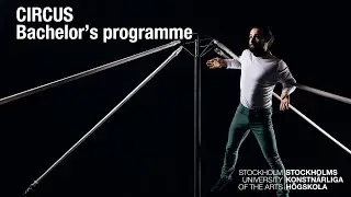 Circus – Bachelor's programme