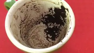Pisces September 11, 2023 Weekly Coffee Cup Reading by Cognitive Universe