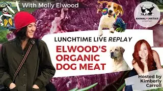 Elwood's Organic Dog Meat & Satire in Activism - Molly Elwood