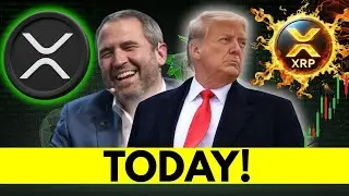 If You Own XRP, You Need to Know This Now (ETFs Just Made History)