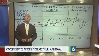 Pfizer vaccine's approval did not appear to boost COVID-19 vaccination rate