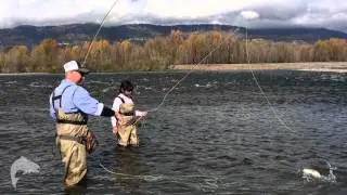 Fly fishing on Wyoming's Snake River, Jackson Hole, Wyoming