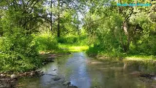 🍃СУПЕР ЗВУКИ ПРИРОДЫ | SUPER NATURE SOUNDS