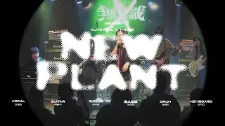 The Volunteers - New Plant cover (260103 얼라이브홀 'X THESIS')