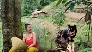 Nora&rsquo;s Cozy Bamboo House in the Forest | Peaceful Autumn Off-Grid Living