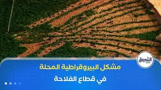 بيروقراطية الإدارة المحلية ..كابوس يرهن التنمية في مختلف القطاعات