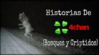 HISTORIAS DE 4CHAN /X/ BOSQUES Y CRIPTIDOS (RECOPILACIÓN)