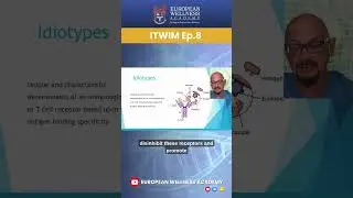 Idiotypes & Active Specific Immunotherapy (ASI) - Ep. 8