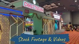 Chhattisgarh Pavilion | Delhi Trade Fair 2025 | Culture, Crafts & Tribal Heritage
