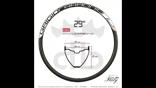 GrigioCarbonio Primato T1000 29