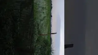 #shorts#indian#viral#trending#motivational#motivation#masti#love#journey#creative