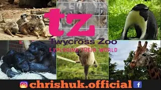 Visiting Twycross Zoo during Covid-19 - NEW BABY ANIMAL
