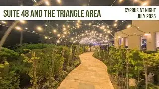 Suite 48 And The Triangle On Saturday Night