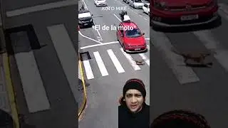xd