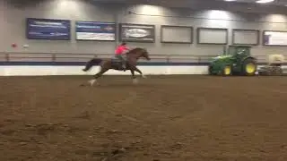 &ldquo;Tweety&rdquo; @ 2018 Keystone Centre Jackpot