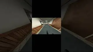 SEAGULL CHASE #games #gmod #garrysmod #shortvideo #shortsfeed #scp #shorts