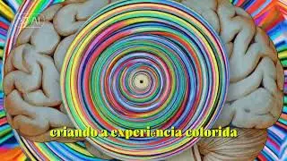 Imagine seeing the colors of music: Synesthesia
