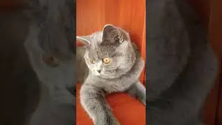 запомните, мужчины 😉