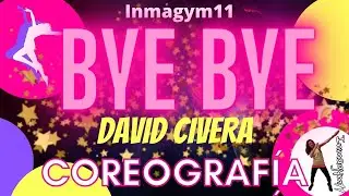 Bye Bye/ David Civera/Yubagym/inmagym11