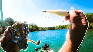 Topwater Bass Fishing Lake Hartwell in July