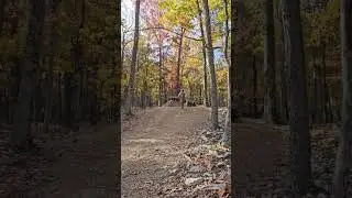Yeehaw