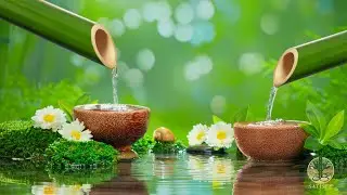 Soothing Relaxation Music + Water Sounds for Sleep 🍃 Meditation Music Relax Mind Body, Study Music