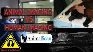 Z3P Clips: Animal Imaging vs  Human imaging