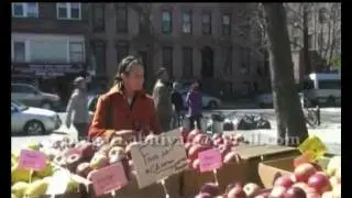 America's Food security system- An alternative to India's PDS, marathi part 2.wmv