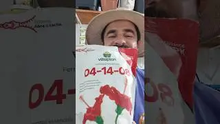 QUAL O MELHOR ADUBO PARA USAR NA FLORA&Ccedil;&Atilde;O E FRUTIFICA&Ccedil;&Atilde;O DAS FRUT&Iacute;FERAS??#npk #npk041408 #aduba&ccedil;&otilde;es