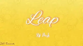 Dj Hush - Leap (Official audio)| EDM |