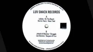 Lee Stevens - Reapers of Luv