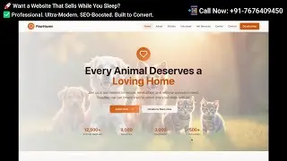 Animal Shelter Website Design to Increase Pet Adoptions