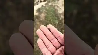 猎石者｜烟晶、长石、绿柱石、红水晶⋯没带锤子却人品爆棚的一天