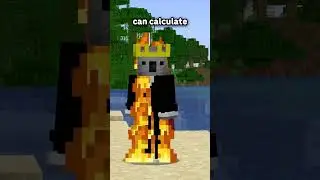 Everything you NEED to know about fire in Minecraft...