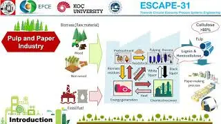 ESCAPE31- Development of sustainable integrated biorefinery networks in pulp and paper industries