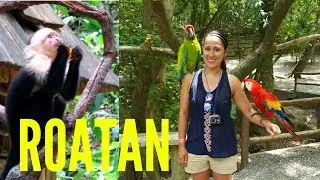 1 Fun Place To Visit In Roatan - Wildlife and Nature at Gumblimba Park  Plus Zipline To The Beach
