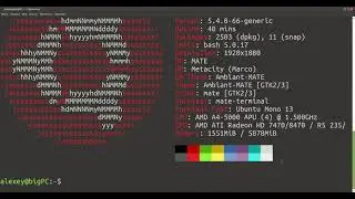 Как узнать характеристики ПК на Linux? (Screenfetch/Neofetch)