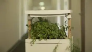 Свежий квадрат 360