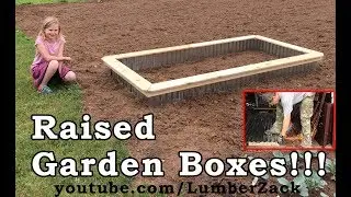 Raised Garden Beds with Galvanized Roofing and Cedar Fencing