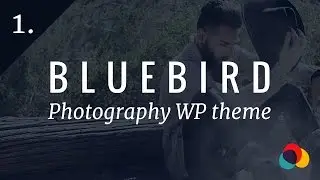 1. Install and setup demo content - Bluebird Theme