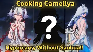 This Resonator Can Be Camellya Support? - Tower of Adversity | Wuthering Wave