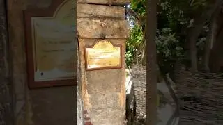 Hidden gem 💎 in Maadi, Egypt #nature #architecture #vintage #calm #relaxing #travel #egypt