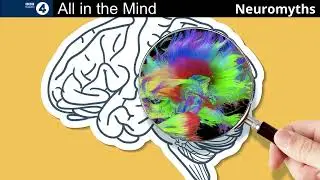 Neuromyths. | All In The Mind