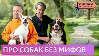 Как найти подход к своей первой собаке? | «Следующая остановка»