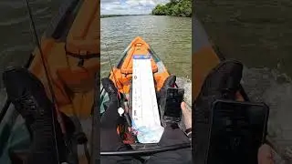 Teste de velocidade caiaque tuna 115 + motor hidea 3 hp #belem #maguari #pesca #fishing #hidro2eko