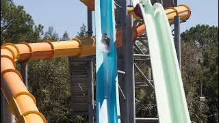 Why I hate amusement parks