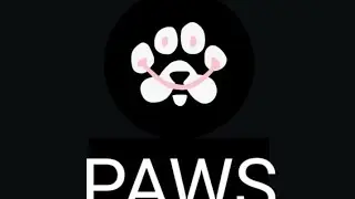 Paws token not received