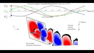 Phase-averaged Membrane wing dynamics:  height 200mm, aoa 25deg: By Robert Bleischwitz