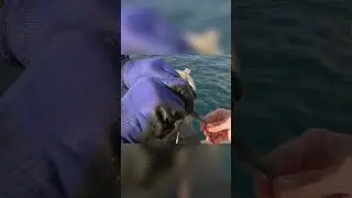 Osborne Tyre Reef Disaster #amazingfacts #facts #disaster #ocean